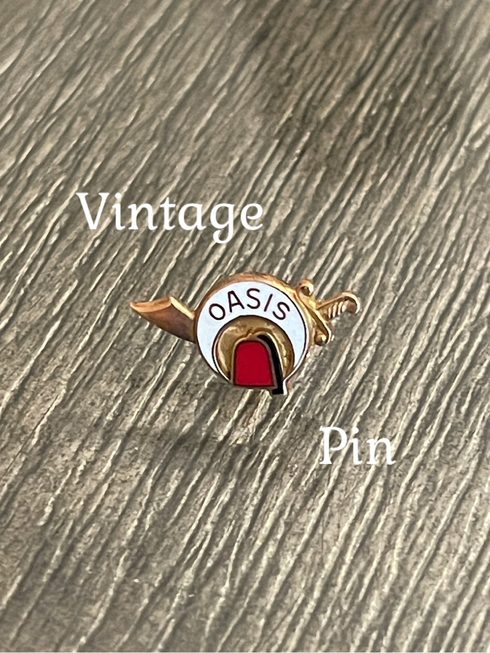 Vintage Masonic Shriners OASIS Gold-tone & Enamel Lapel Pin